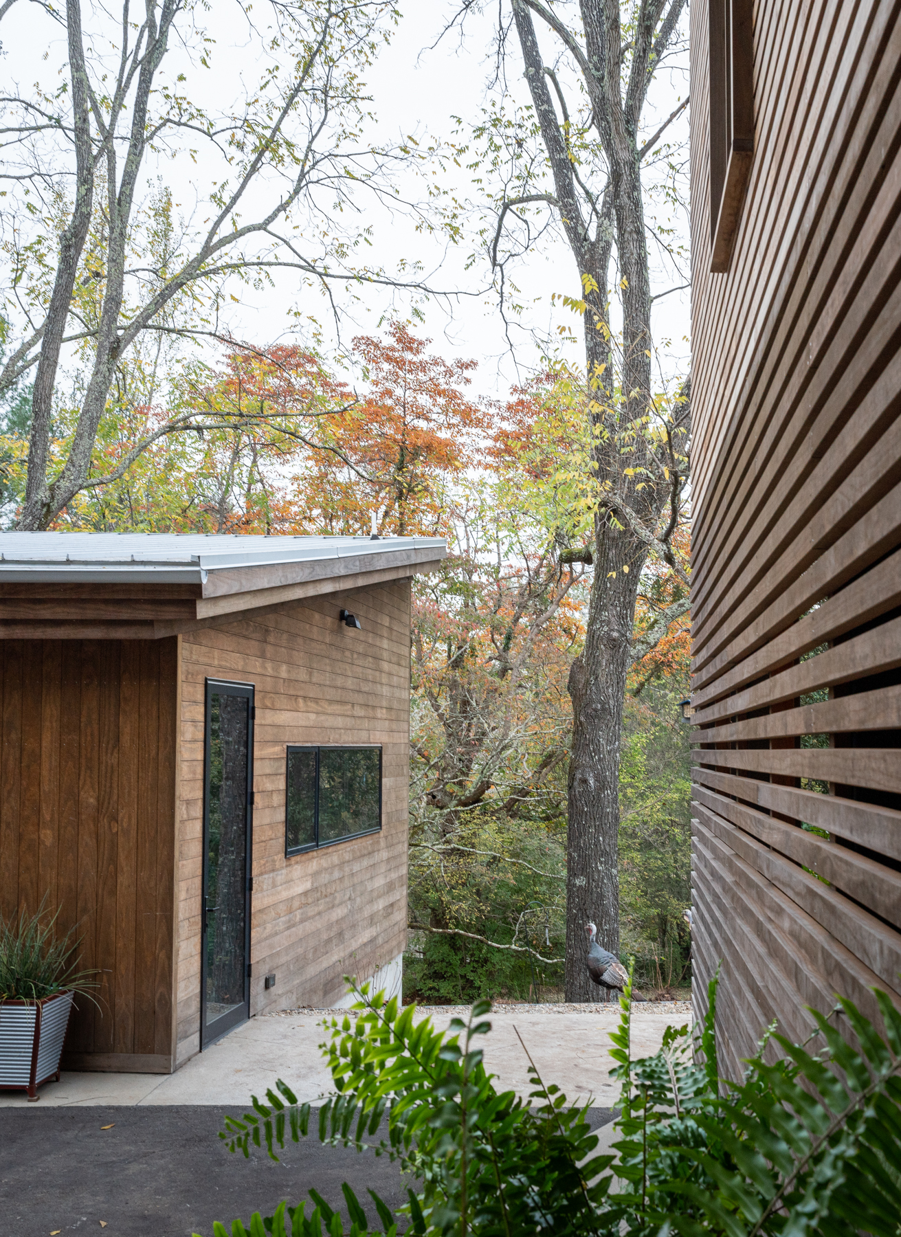 Wood Screen House Kebony USA