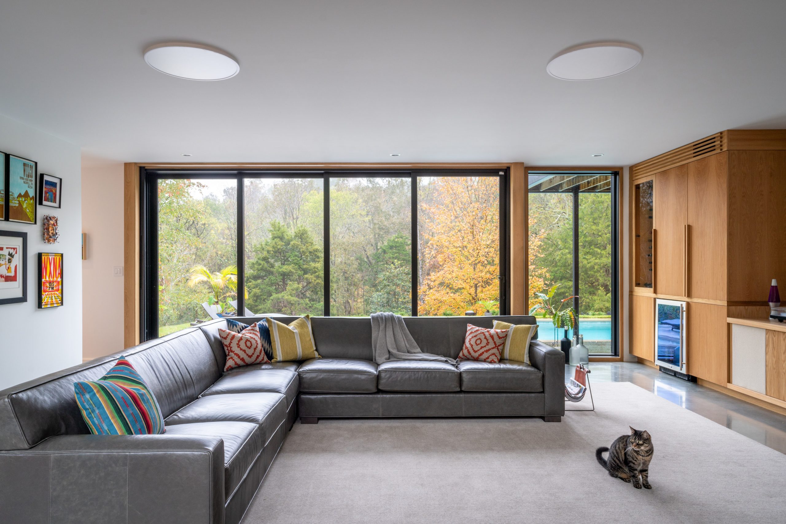 A cat looks around on the first floor living room with a u-shaped gray couch and a giant floor to ceiling window for a wall at the Wood Screen House in Nashville, Tennessee during the day featuring Kebony Modified Wood Clear Cladding on the siding of the outside walls