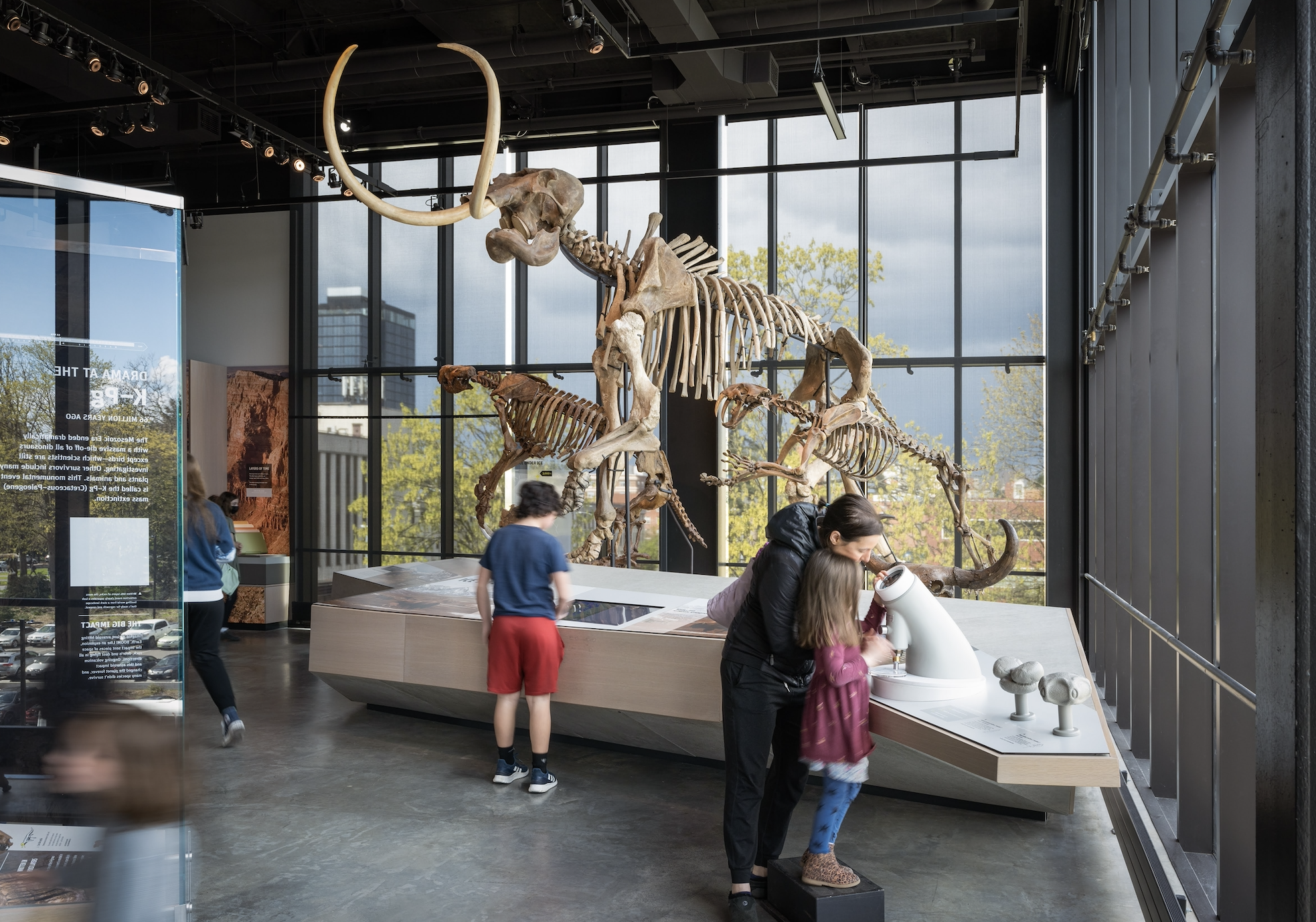 Interior view a bone exhibit at the burke natural history museum featuring kebony modified wood click in cladding